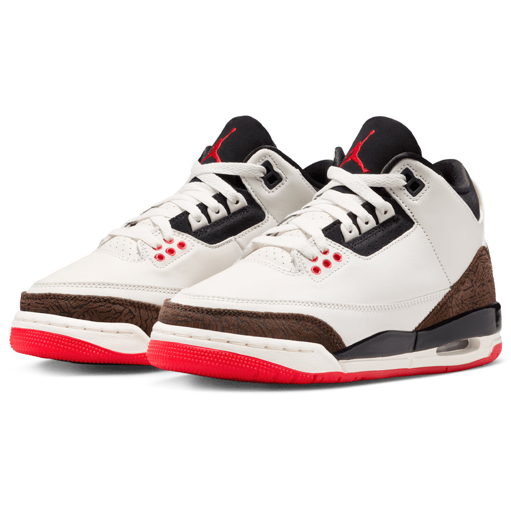 Air Jordan 3 