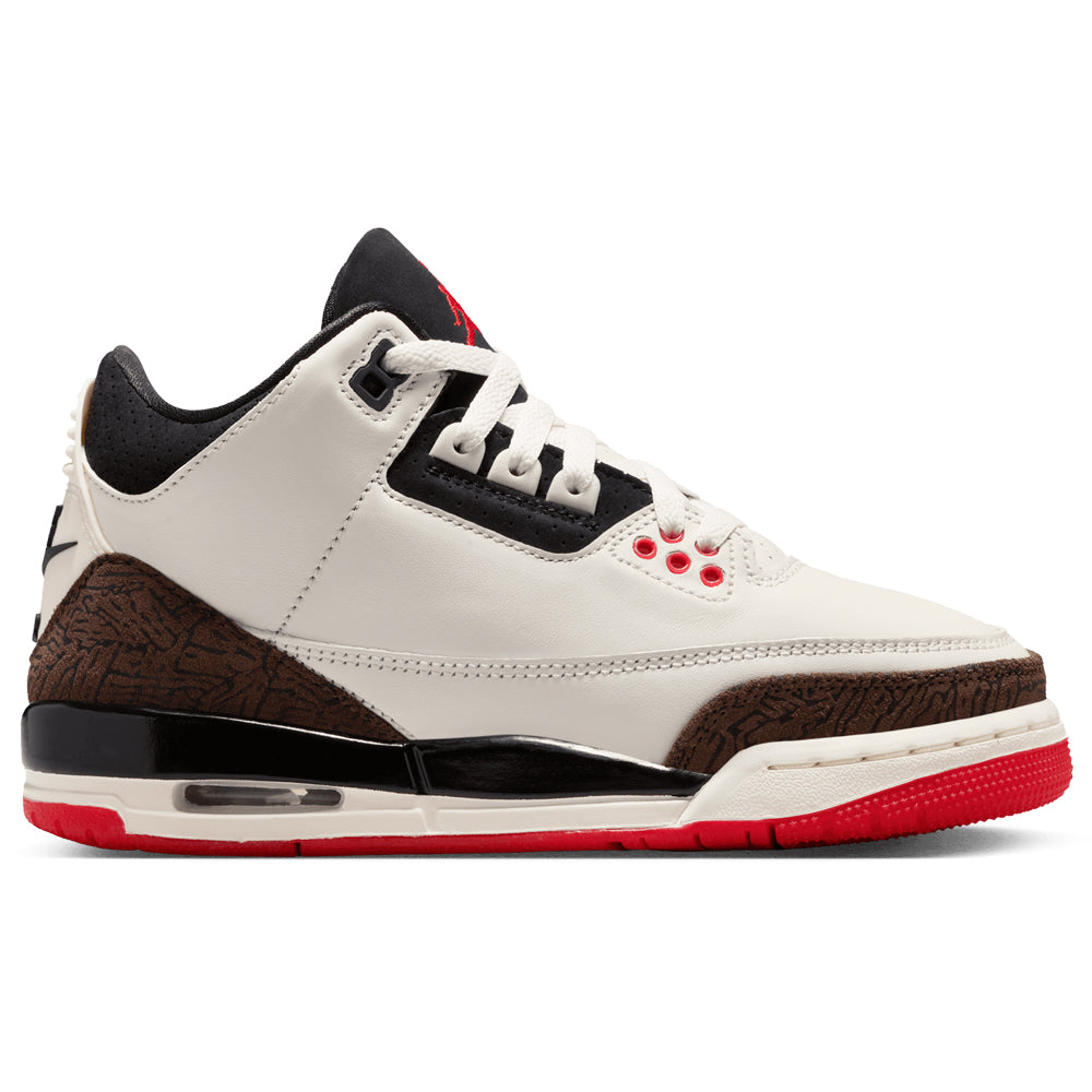 Air Jordan 3 