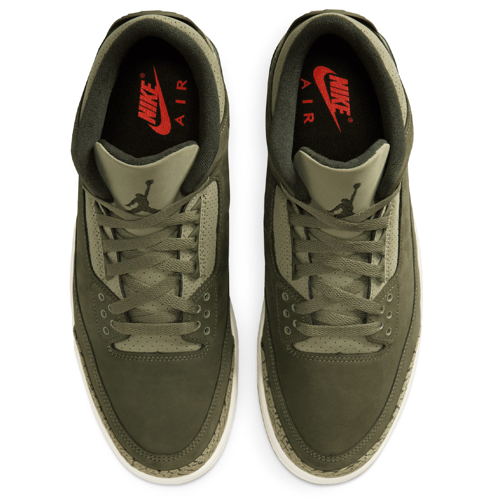 Air Jordan 3 Retro "Family Affair"