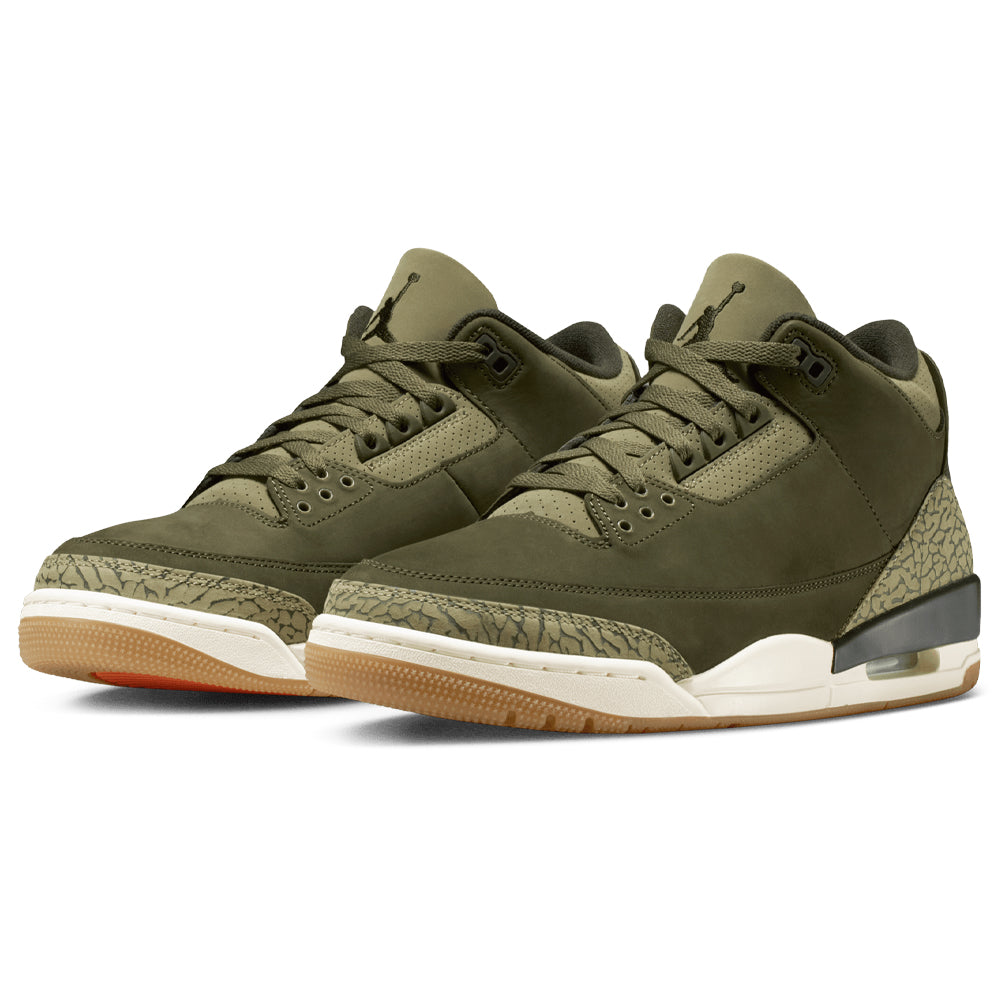 Air Jordan 3 Retro "Family Affair"