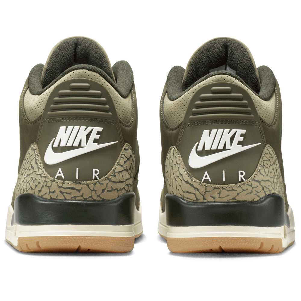 Air Jordan 3 Retro "Family Affair"