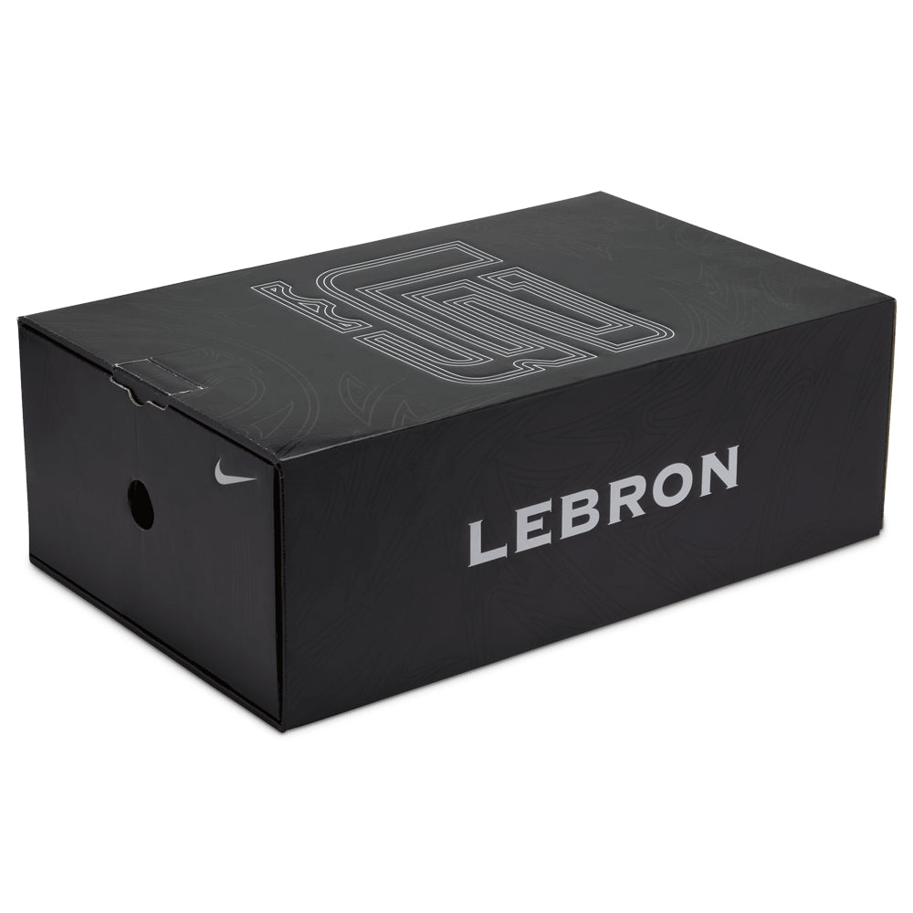 Zoom LeBron 2 LX | Shop Foster eCommerce