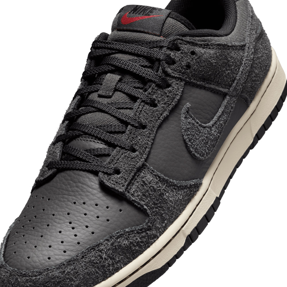 Dunk Low Retro Premium