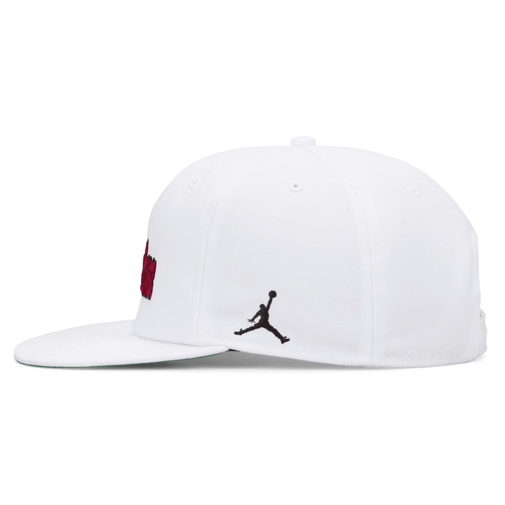 Jordan Pro Structured Snapback Hat