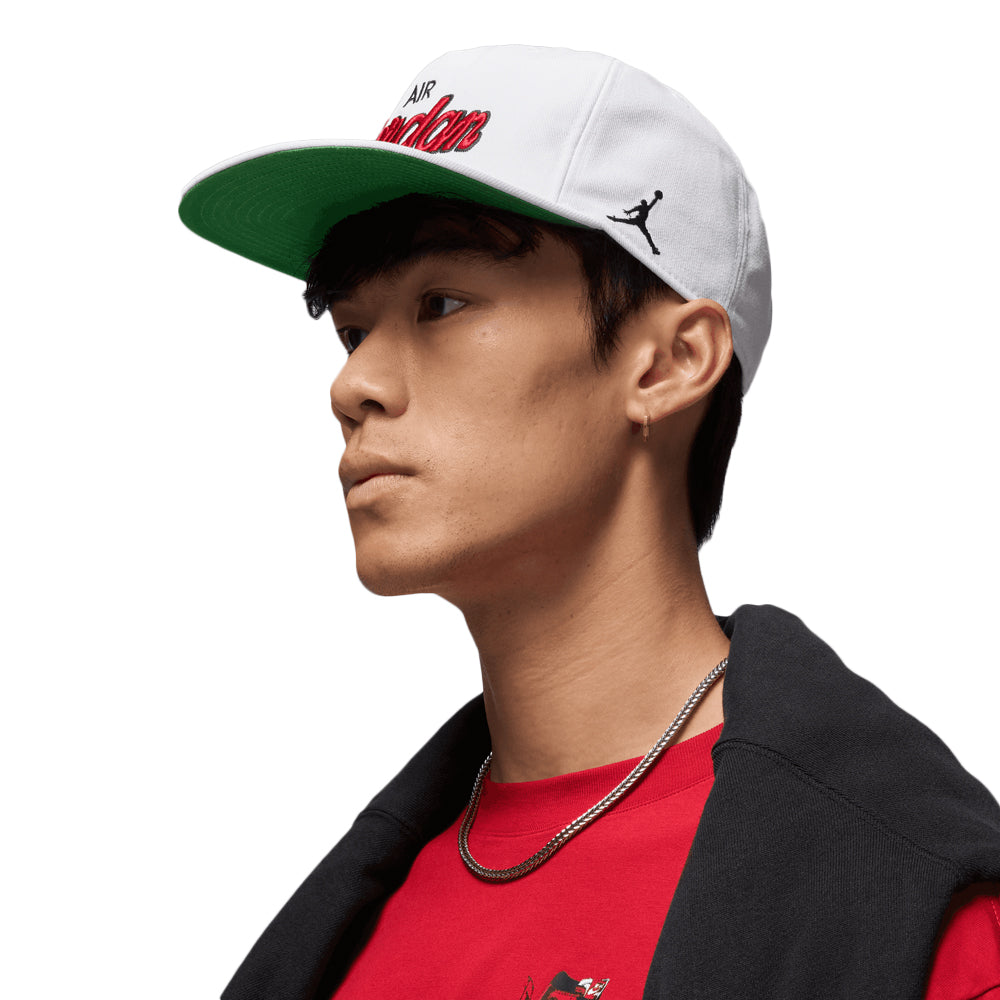 Jordan Pro Structured Snapback Hat