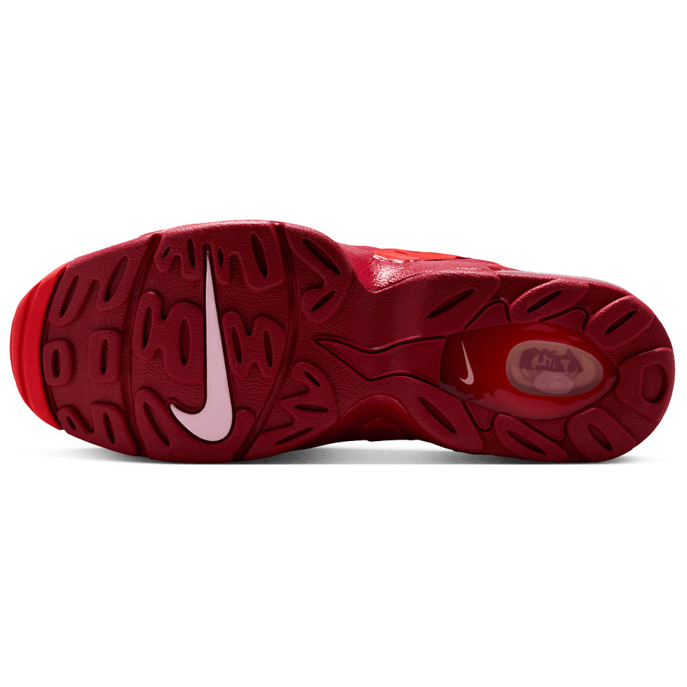 Air DT Max '96
